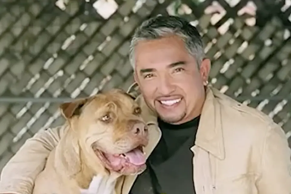 Cesar Millan smiling with his pit bull Daddy